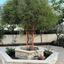 6 bedroom detached house for sale asgata limassol 1924820 thumbnail 16552990