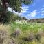 land for sale asgata limassol 1699820 thumbnail 5674942