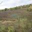 land for sale mitsero nicosia 7750820 thumbnail 10273755