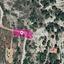 land for sale pera pedi limassol 1649820 thumbnail 5661700