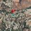 land for sale psathi paphos 8122820 thumbnail 16015964