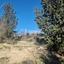 land for sale tsada paphos 8126820 thumbnail 15820674