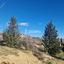 land for sale tsada paphos 8126820 thumbnail 15820675