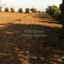 plot for sale maroni larnaca 8838820 thumbnail 17031896