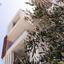 studio building for sale tombs of the kings paphos 8101820 thumbnail 13215343