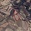 9031 SQM Land for sale in Drynia, Paphos thumbnail 16210190