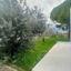 4 bedroom bungalow for sale pervolia larnaca 8367920 thumbnail 17267131