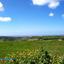 4 bedroom detached house for sale kathikas paphos 1355920 thumbnail 5646584