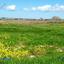 4 bedroom detached house for sale kathikas paphos 1355920 thumbnail 5646588