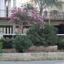 3 bedroom apartment for sale potamos germasogeias limassol 1685030 thumbnail 4407958