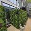 studio apartment building for rent limassol municipality limassol 8538030 thumbnail 15543301