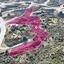 land for sale pyrgos nicosia nicosia 1070130 thumbnail 2825972
