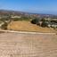 land for sale pano akourdalia paphos 1701230 thumbnail 15597283