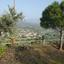 2 bedroom detached house for sale asgata limassol 8565330 thumbnail 15664874