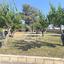 3 bedroom detached house for sale parekklisia limassol 1472330 thumbnail 12578579