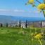 land for sale poli chrysochous paphos 8890330 thumbnail 17318809