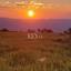 land for sale poli chrysochous paphos 8890330 thumbnail 17318814