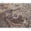 5017 SQM Land for sale in Alampra, Nicosia thumbnail 14937168