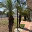 3 bedroom detached house for sale aradippou larnaca 8827430 thumbnail 16979626