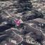 land for sale arsos lemesou limassol 1057530 thumbnail 14767909