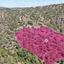 land for sale kapedes nicosia 1650630 thumbnail 5673939