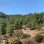 land for sale palaichori morfou nicosia 826630 thumbnail 15603244