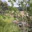 studio detached house for sale polystypos nicosia 1060630 thumbnail 16182002
