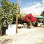 studio restaurant for sale tala paphos 8238630 thumbnail 14244485
