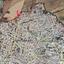 land for sale kaimakli nicosia 822730 thumbnail 15601730
