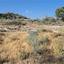 land for sale ypsonas limassol 7507730 thumbnail 16274887