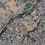 plot for sale kato lakatamia nicosia 1905730 thumbnail 12834300