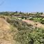 land for sale prodromi paphos 8395830 thumbnail 14822000
