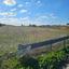 land for sale lympia nicosia 8382930 thumbnail 14720384