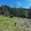 land for sale trimiklini limassol 1745930 thumbnail 5847152