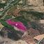 land under offer loukrounou paphos 1104930 thumbnail 15933939