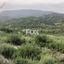 25284 SQM Land for sale in Agios Mamas, Limassol thumbnail 14696496