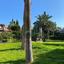 2 bedroom ground floor apartment for rent kato paphos universal paphos 8421040 thumbnail 14961239