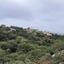 3 bedroom detached house for sale mesogi paphos 8869040 thumbnail 17190748
