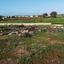 land for sale agia thekla famagusta 8759040 thumbnail 16531749