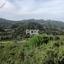 land for sale agios mamas limassol 1279040 thumbnail 14696494