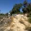 land for sale lofos tala paphos 7813040 thumbnail 17107662
