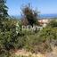 land for sale lofos tala paphos 7813040 thumbnail 17107664