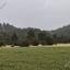 land for sale mitsero nicosia 8629040 thumbnail 15864961
