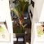 3 bedroom apartment for sale livadia larnacas larnaca 1621240 thumbnail 5497276