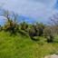 land for sale pera pedi limassol 8463240 thumbnail 15594930