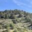 land for sale saranti nicosia 1472240 thumbnail 15598477