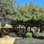 1 bedroom apartment for sale aphrodite hills paphos 7547340 thumbnail 10311218