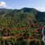 8027 SQM Land for sale in Klirou, Nicosia thumbnail 2897004