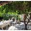 4 bedroom detached house for sale strovolos nicosia 1876440 thumbnail 14085492