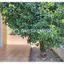 4 bedroom detached house for sale strovolos nicosia 1876440 thumbnail 14085493